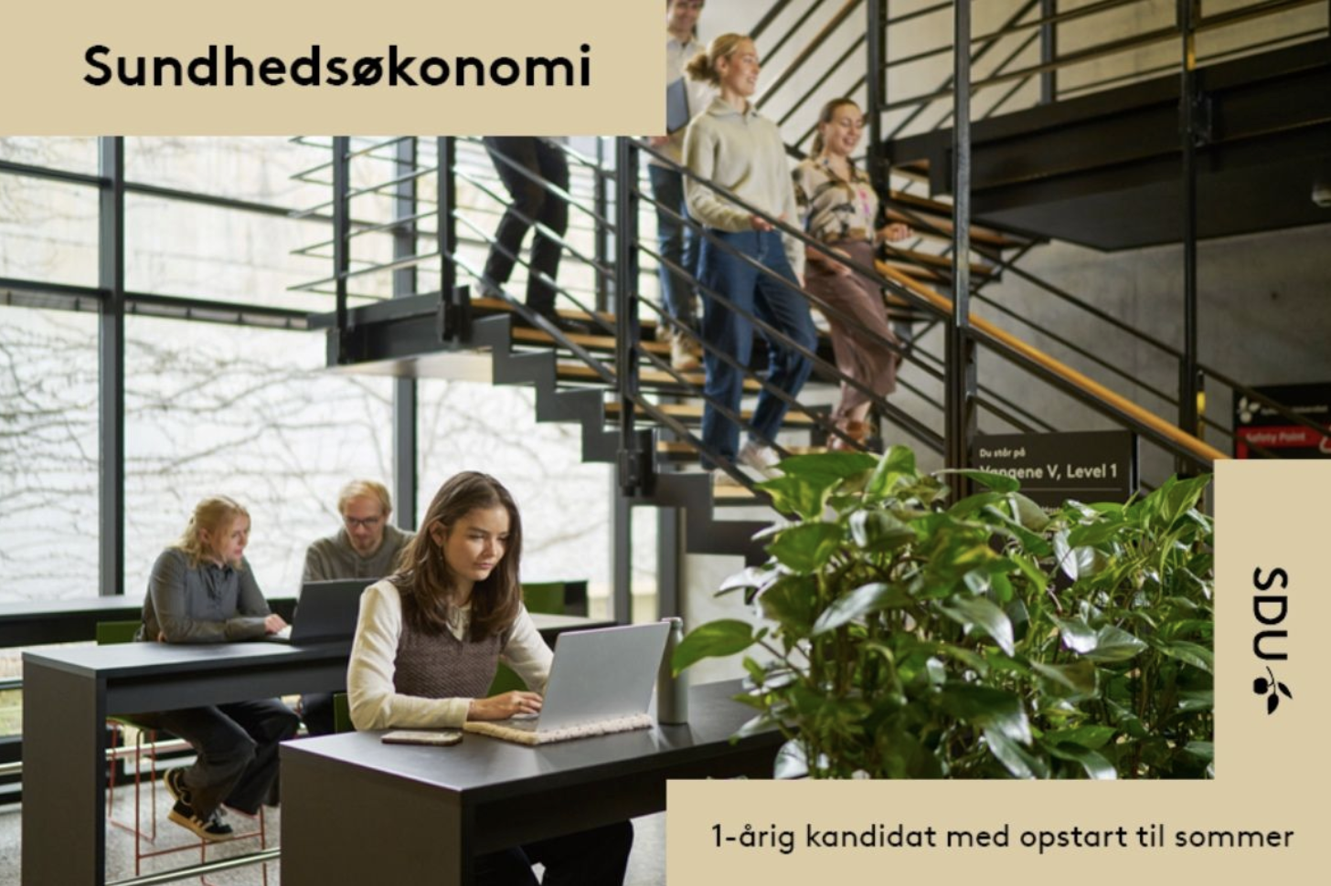 LinkedIn nyhed